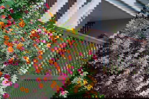 Balcony Garden Design #15