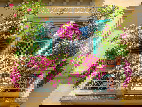 Balcony Flower Garden tips 12