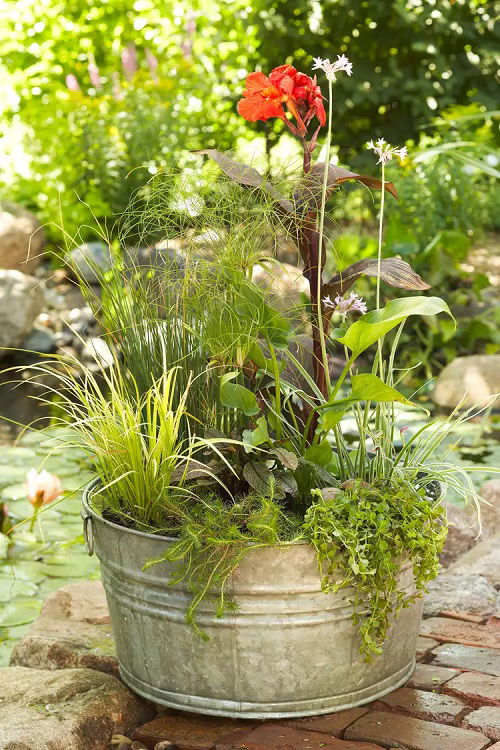 Tub Water Garden Ideas